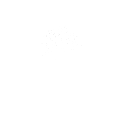 Logo psykoterapeut Jimmy Viborg